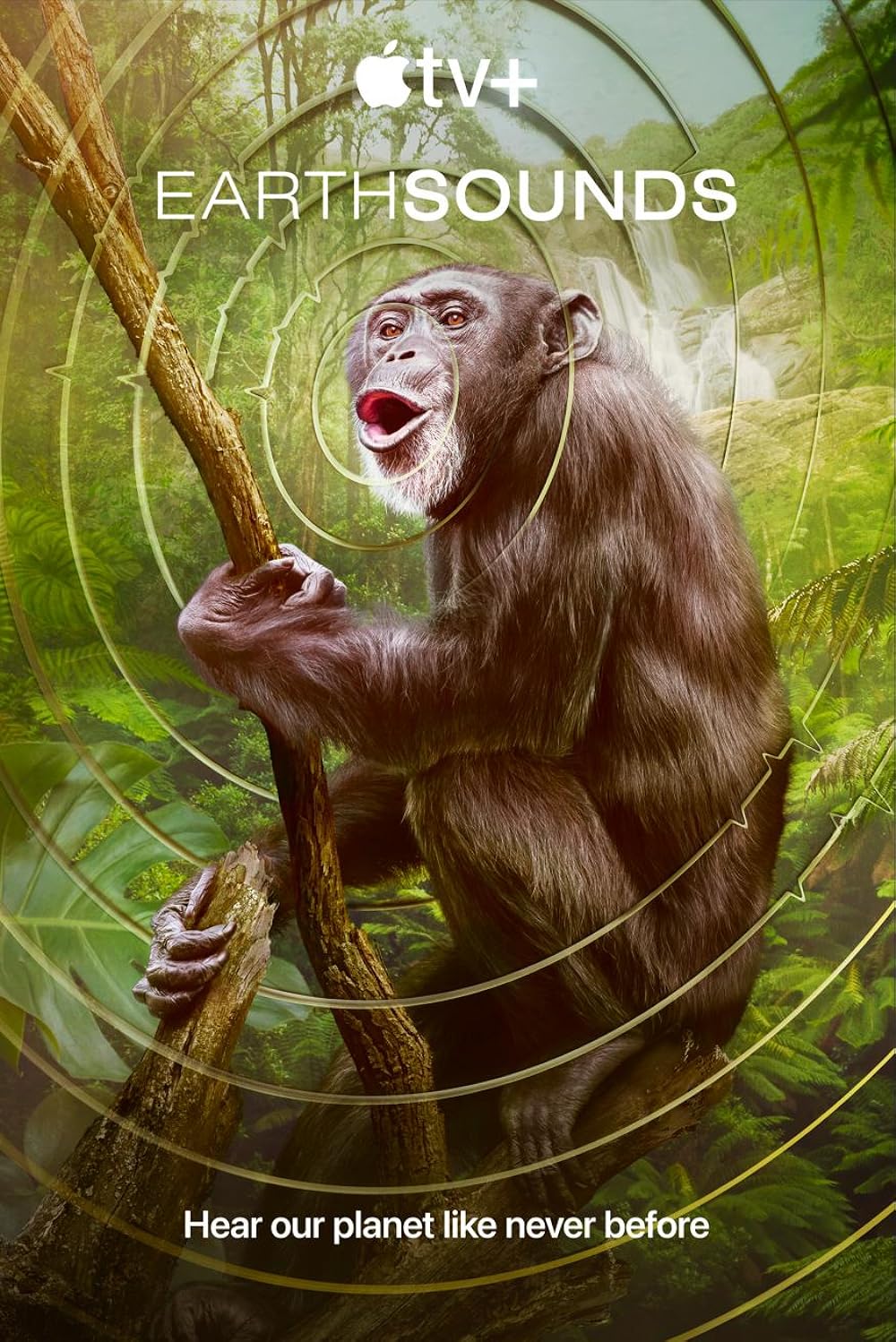 Earthsounds artwork