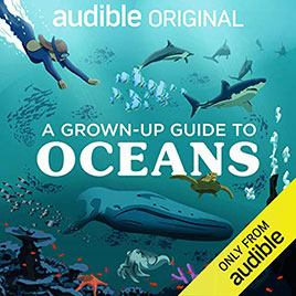 A Grown-Up Guide to Oceans artwork