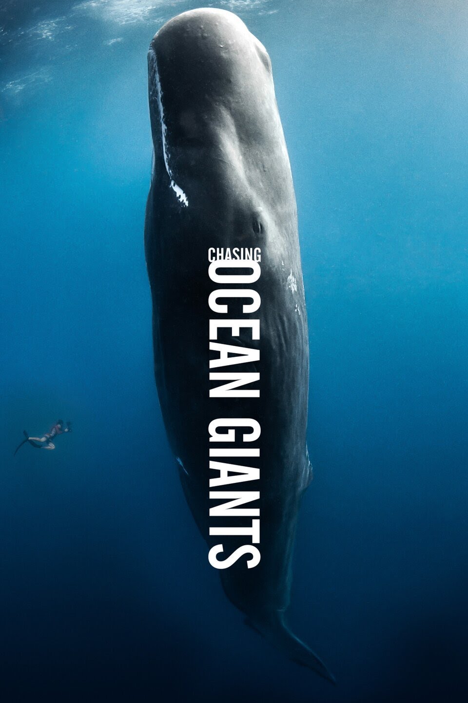 Chasing Ocean Giants artwork
