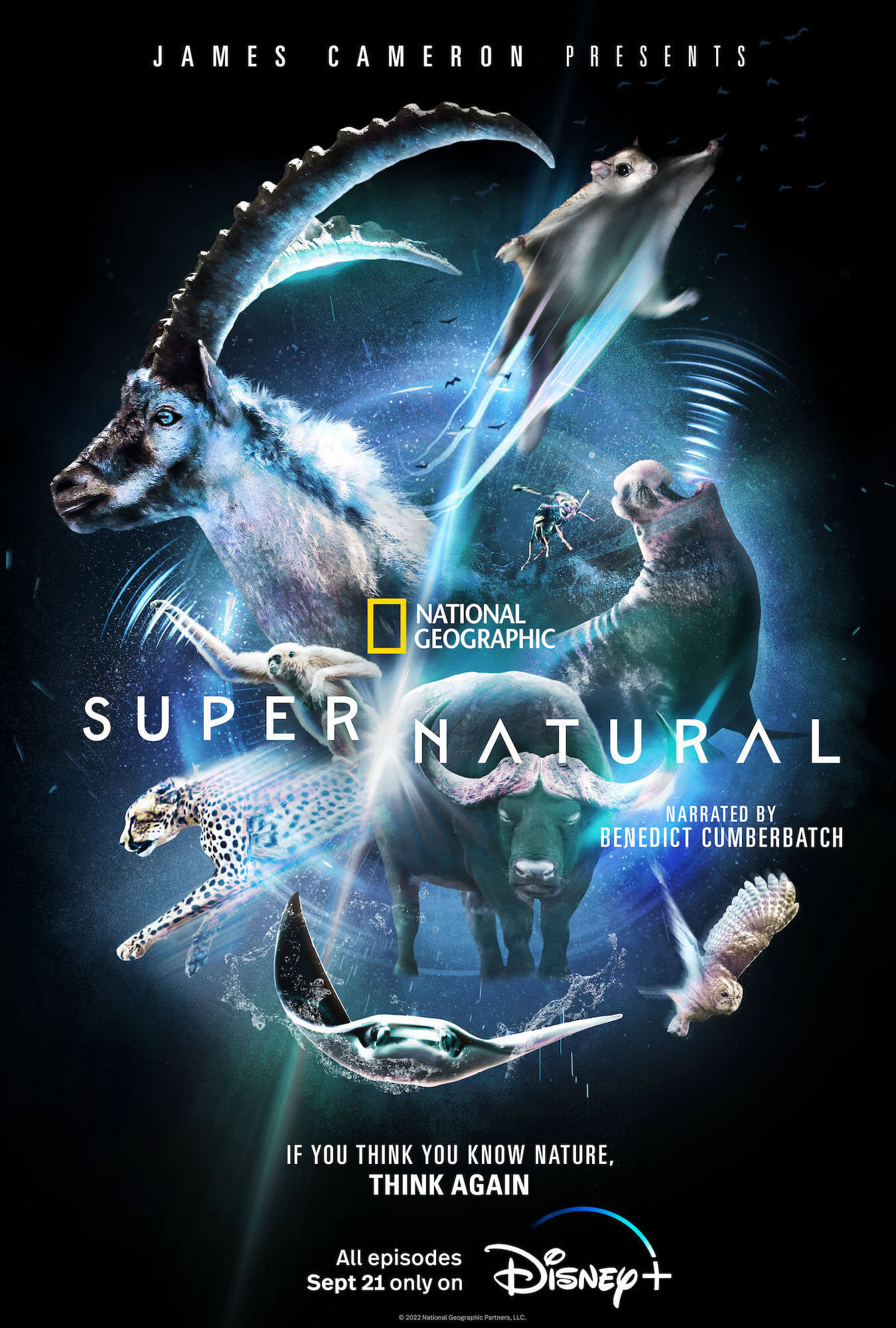 Super/Natural artwork