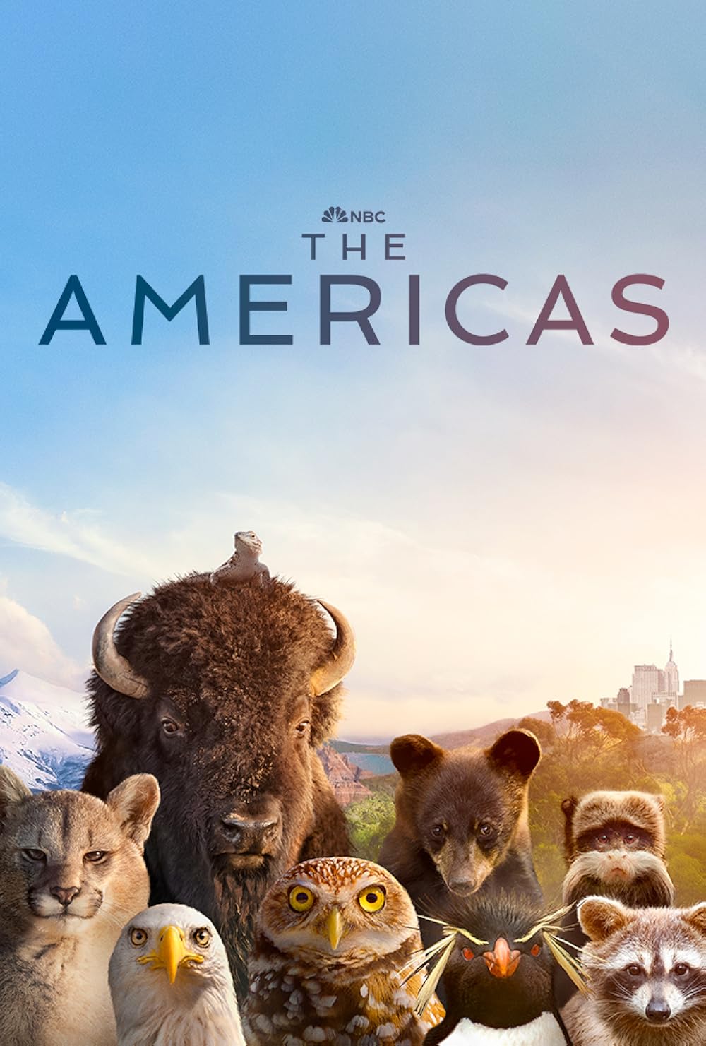 The Americas artwork