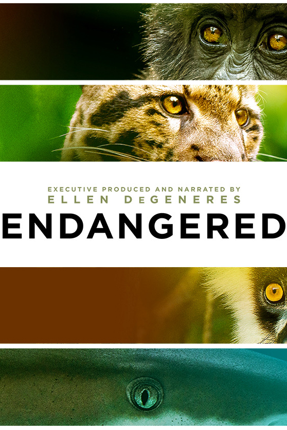 Endangered artwork