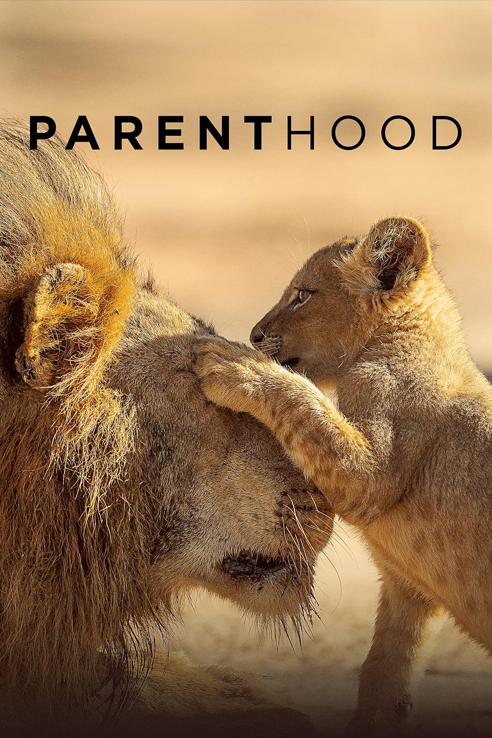 Parenthood artwork