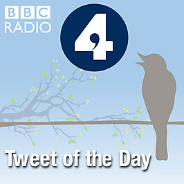 Tweet of the Day artwork